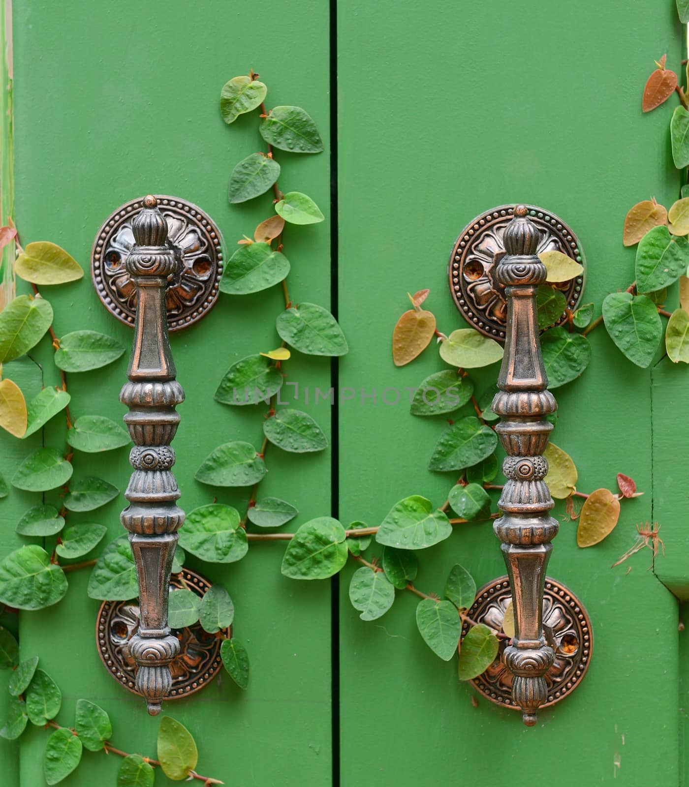 Door handle on green wooden door