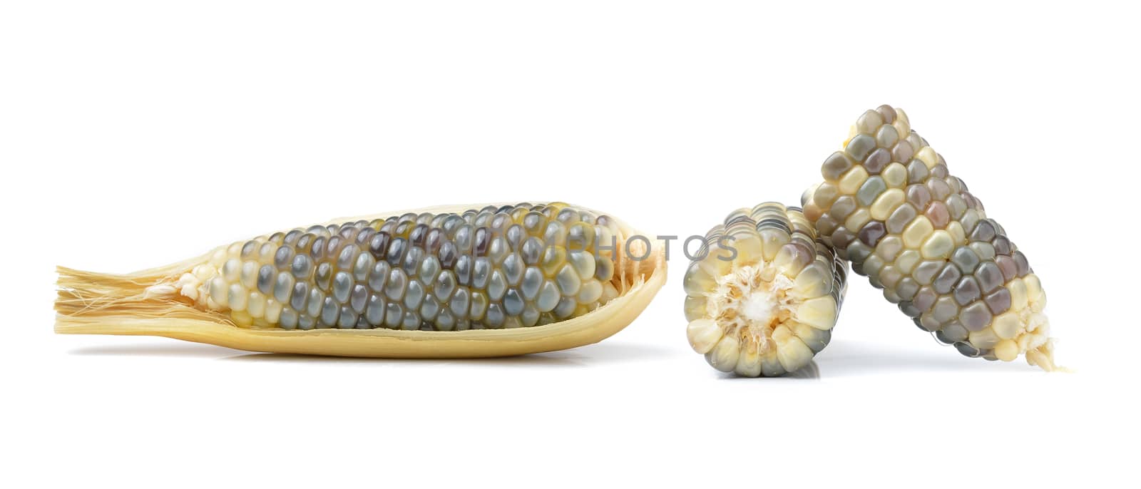 corn isolated on white background by sommai