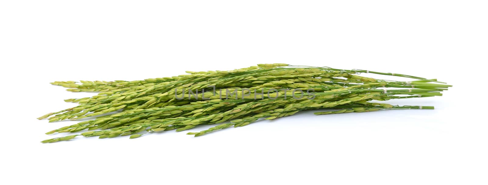 Rice isolated on a white background