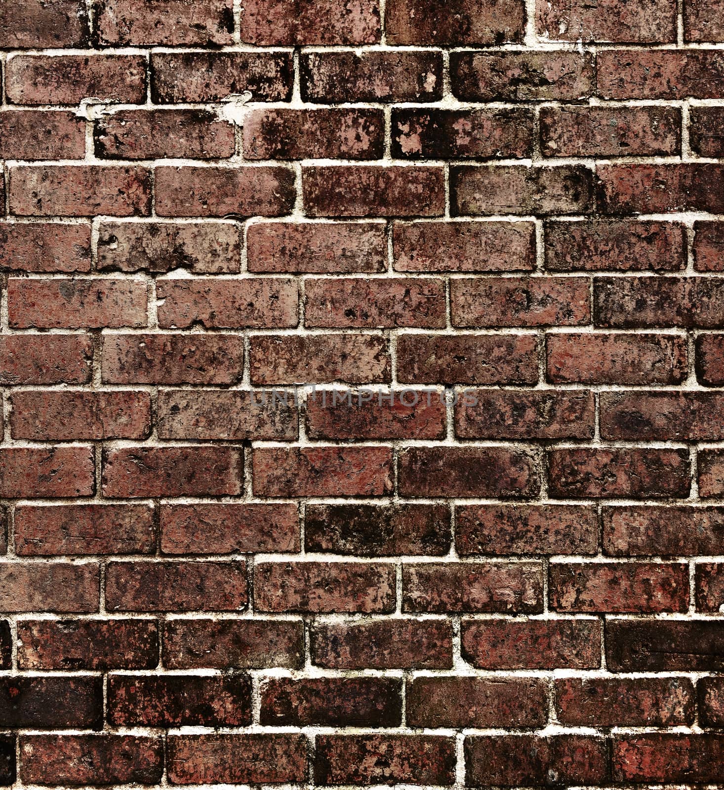 Background of brick wall texture