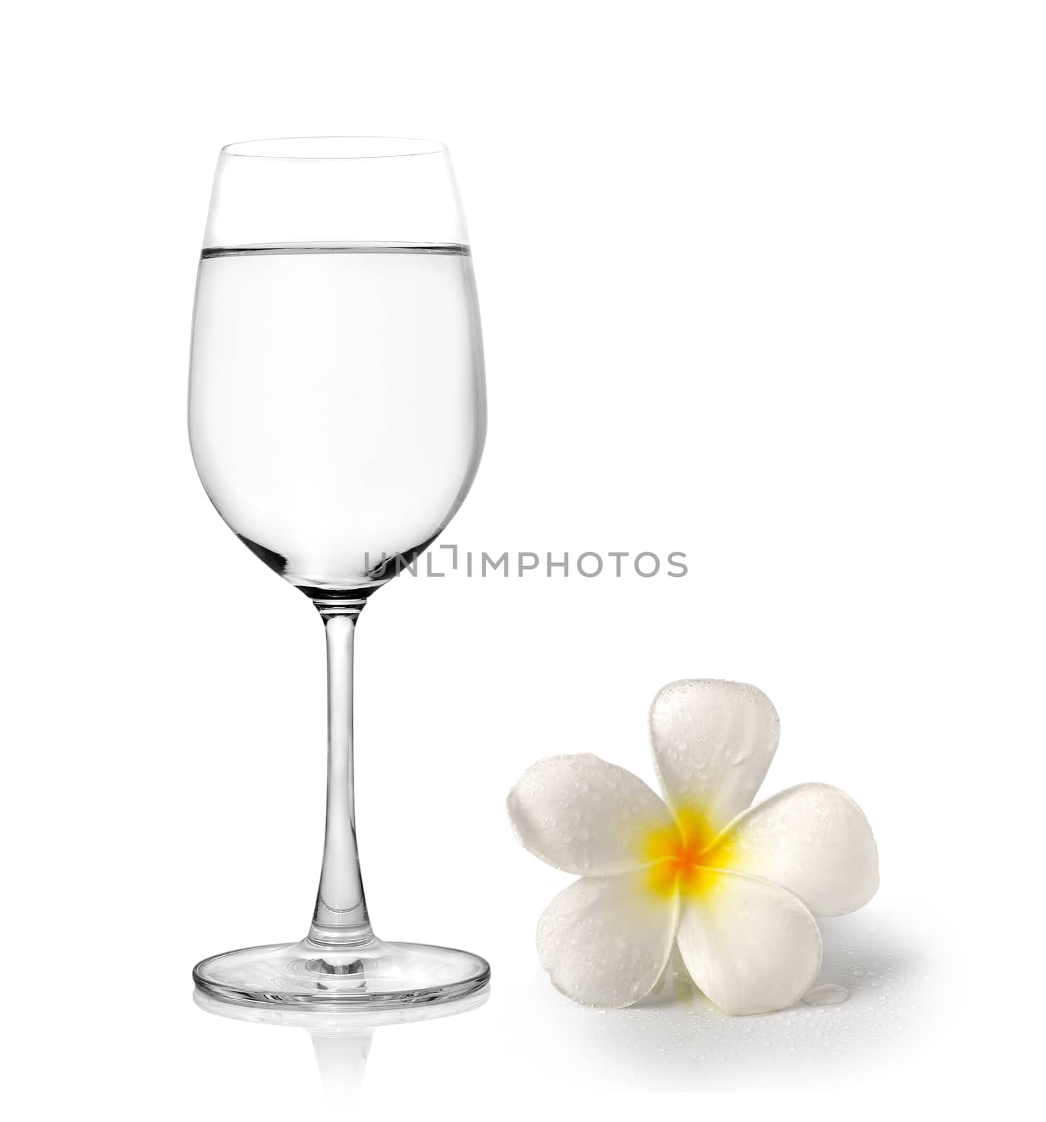 Glass of water and Tropical flowers frangipani (plumeria)