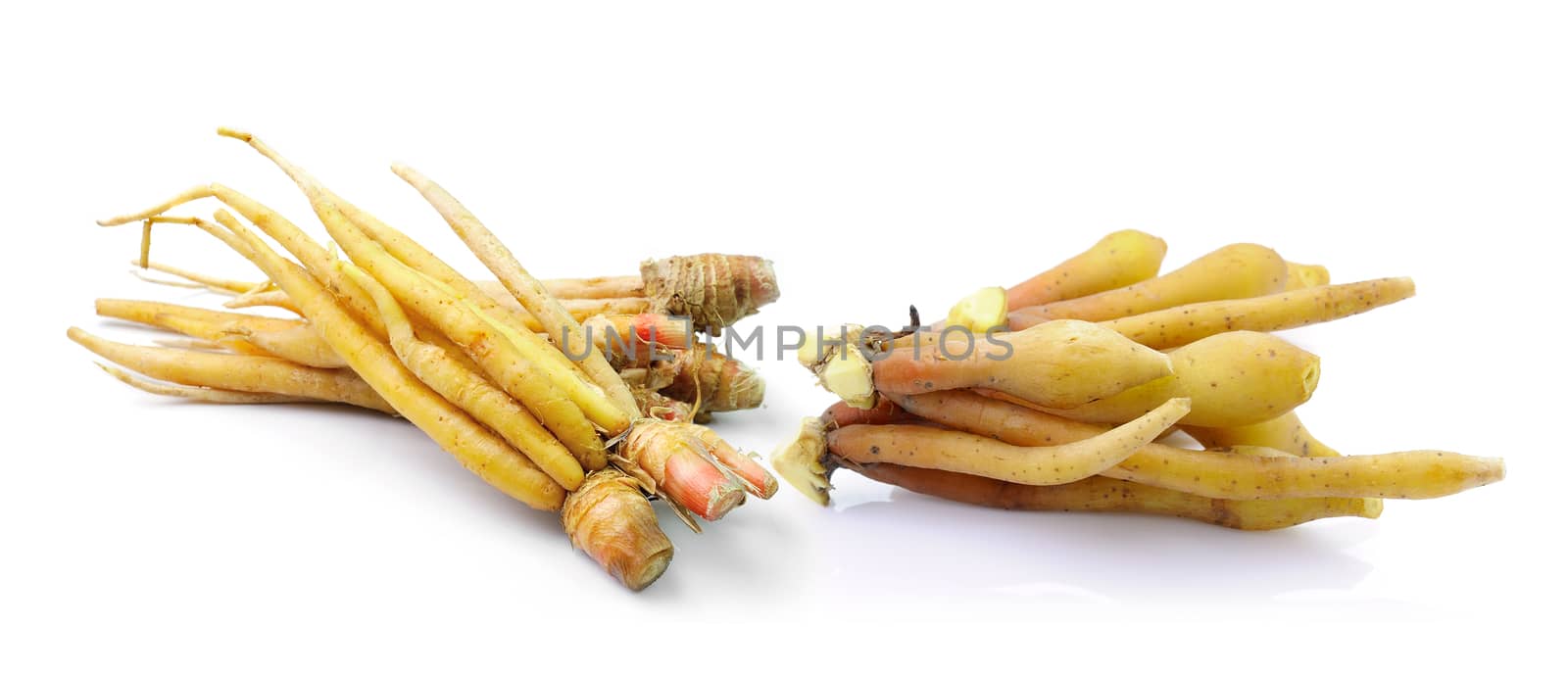 Fingerroot, Kaempfer, Boesenbergia on white background by sommai