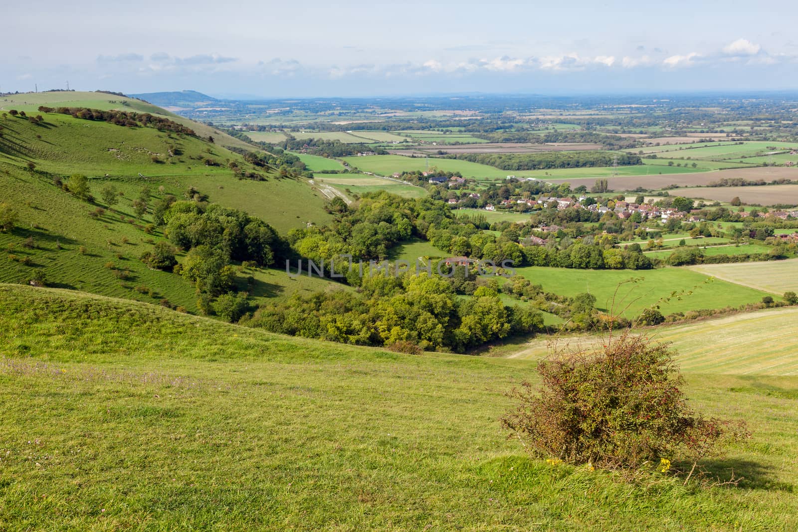 Green Undulating Hills of the  Sussex Countryside by phil_bird