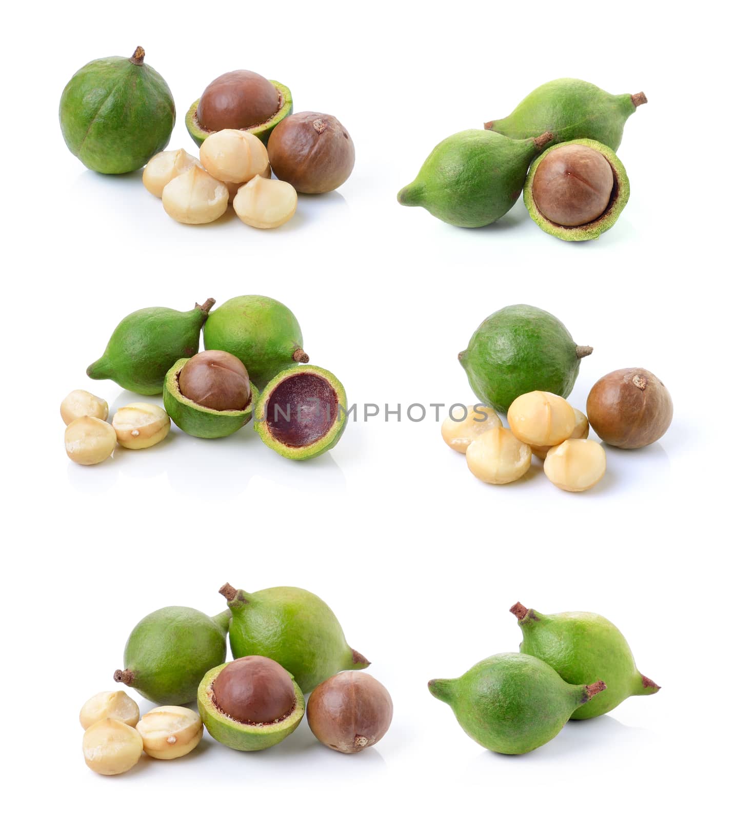 macadamia nuts on white background