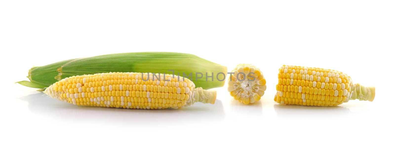 corn on a white background