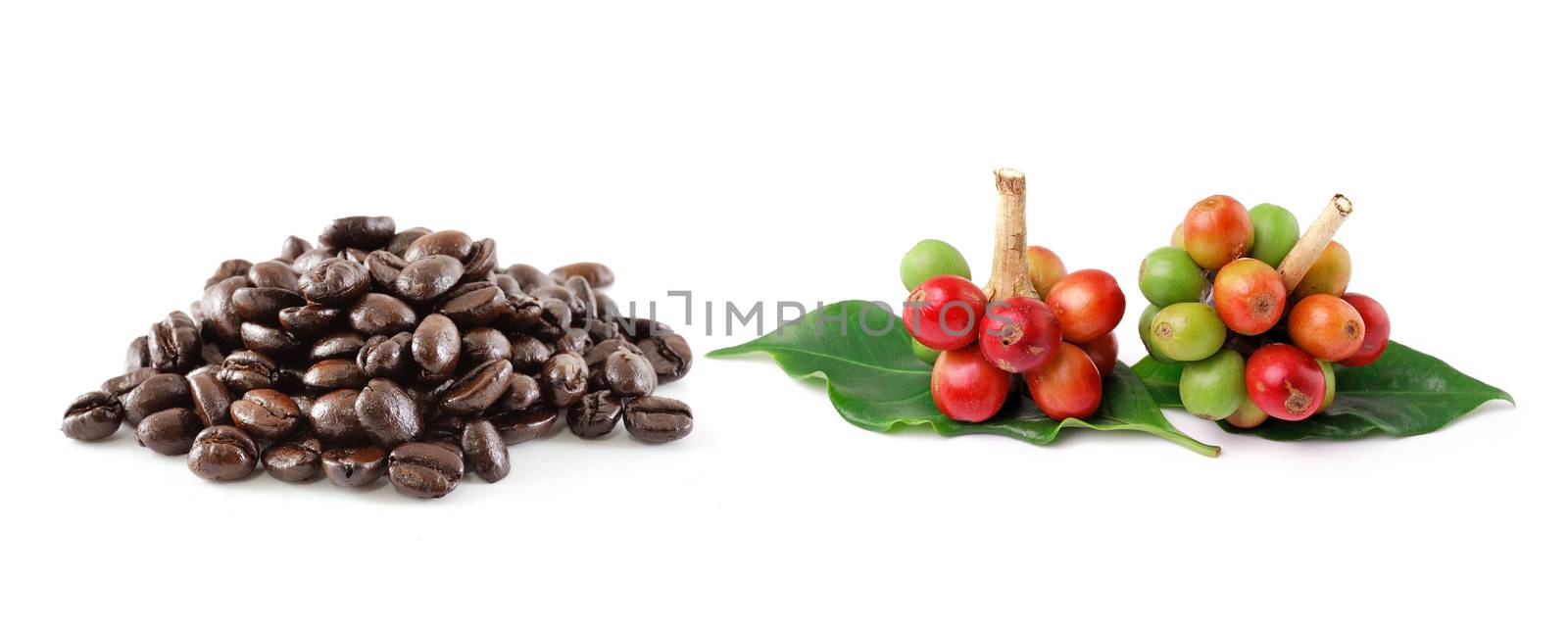  coffee beans isolated on white background by sommai
