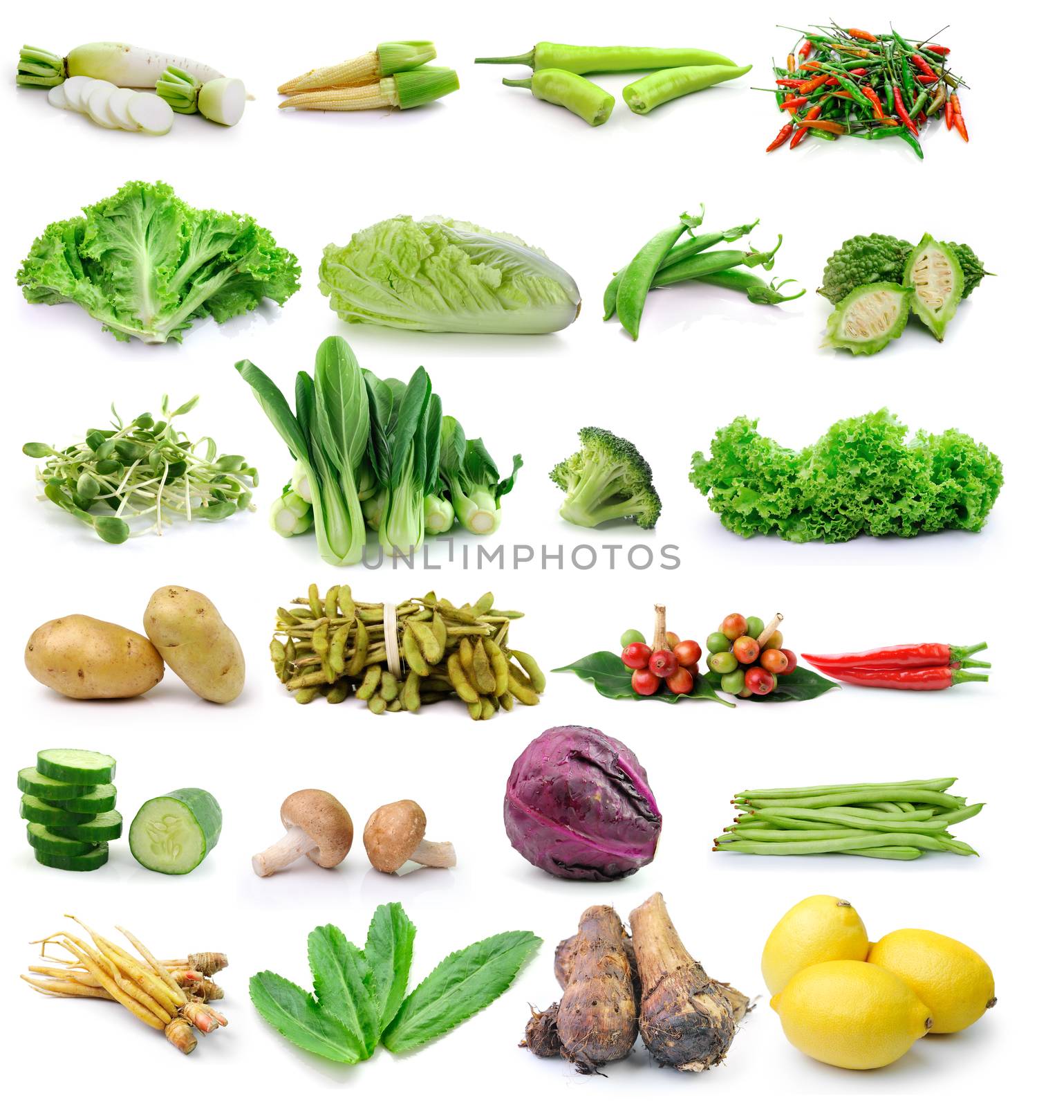 set of vegetable on white background