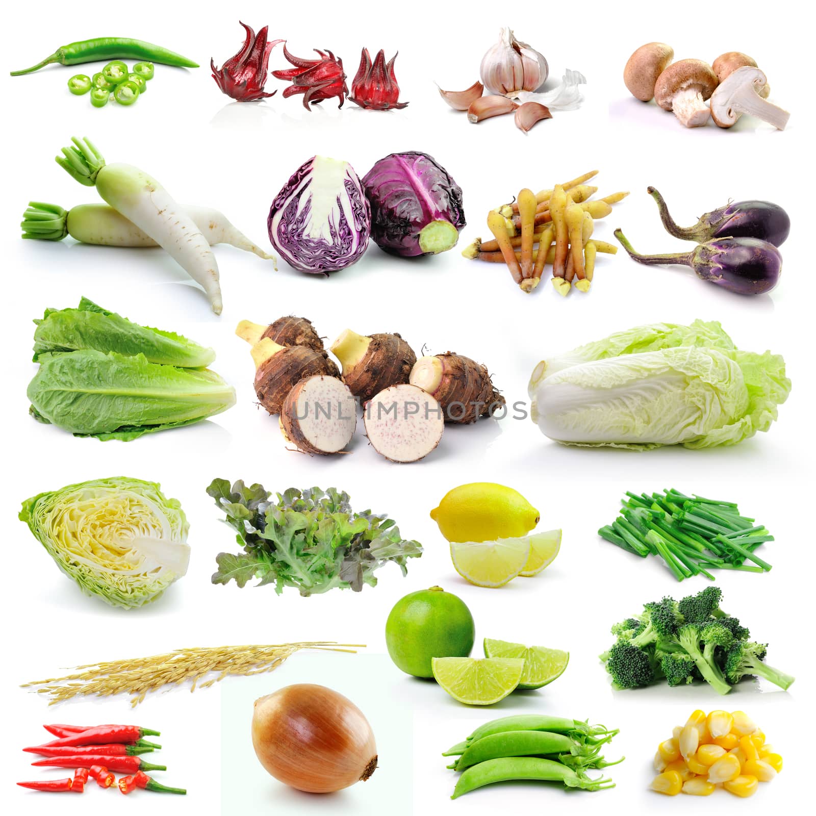 set of vegetable on white background