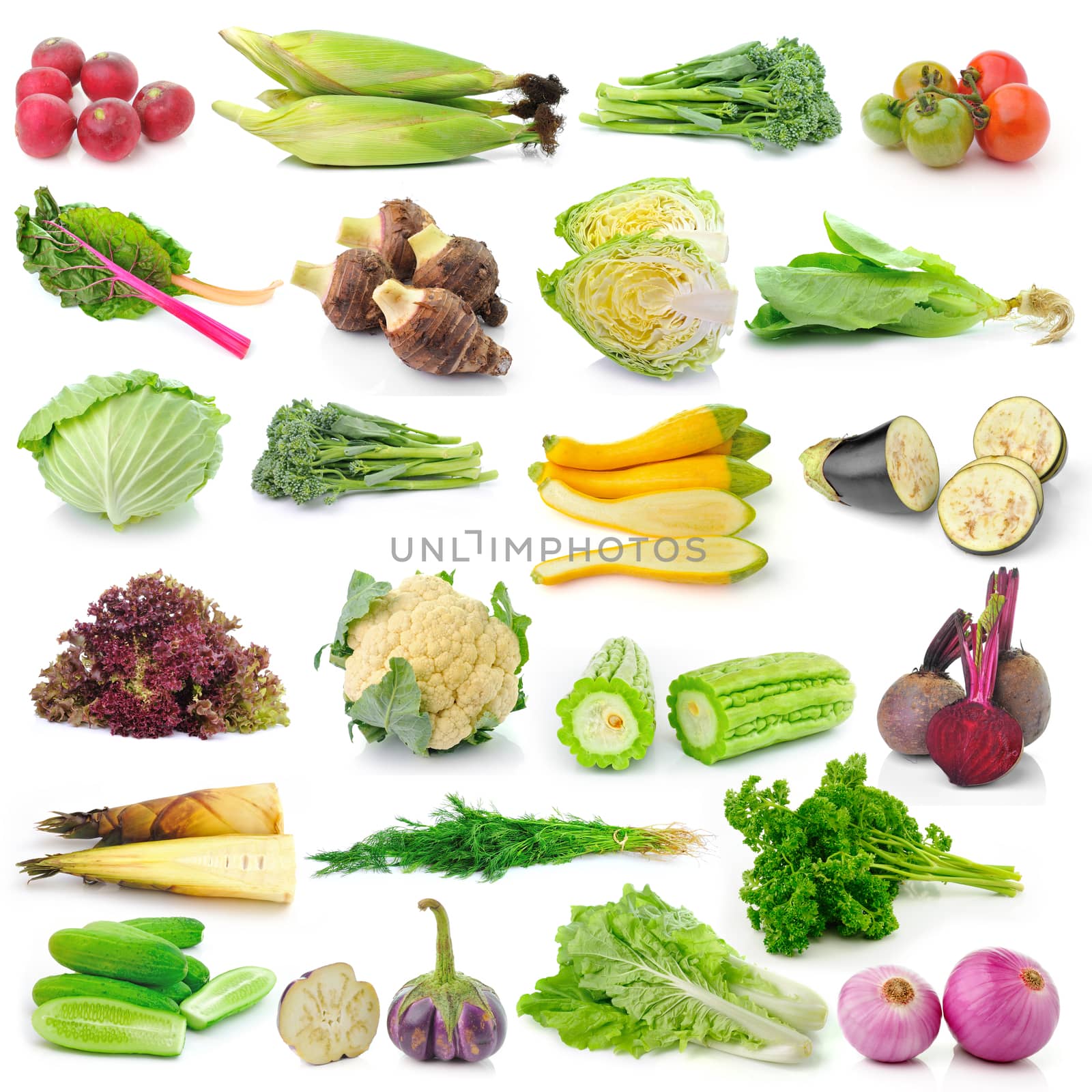 set of vegetable on white background by sommai