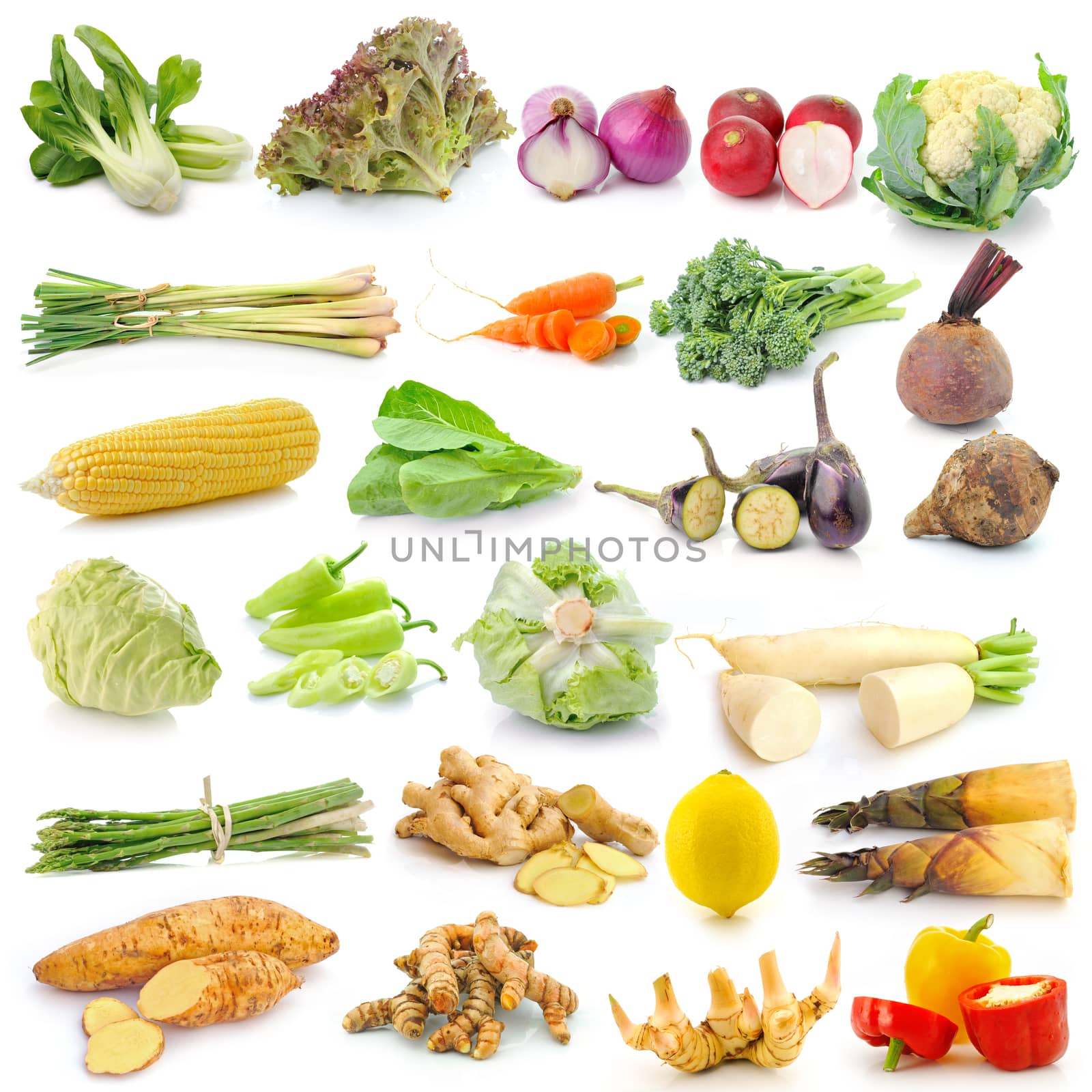 set of vegetable on white background