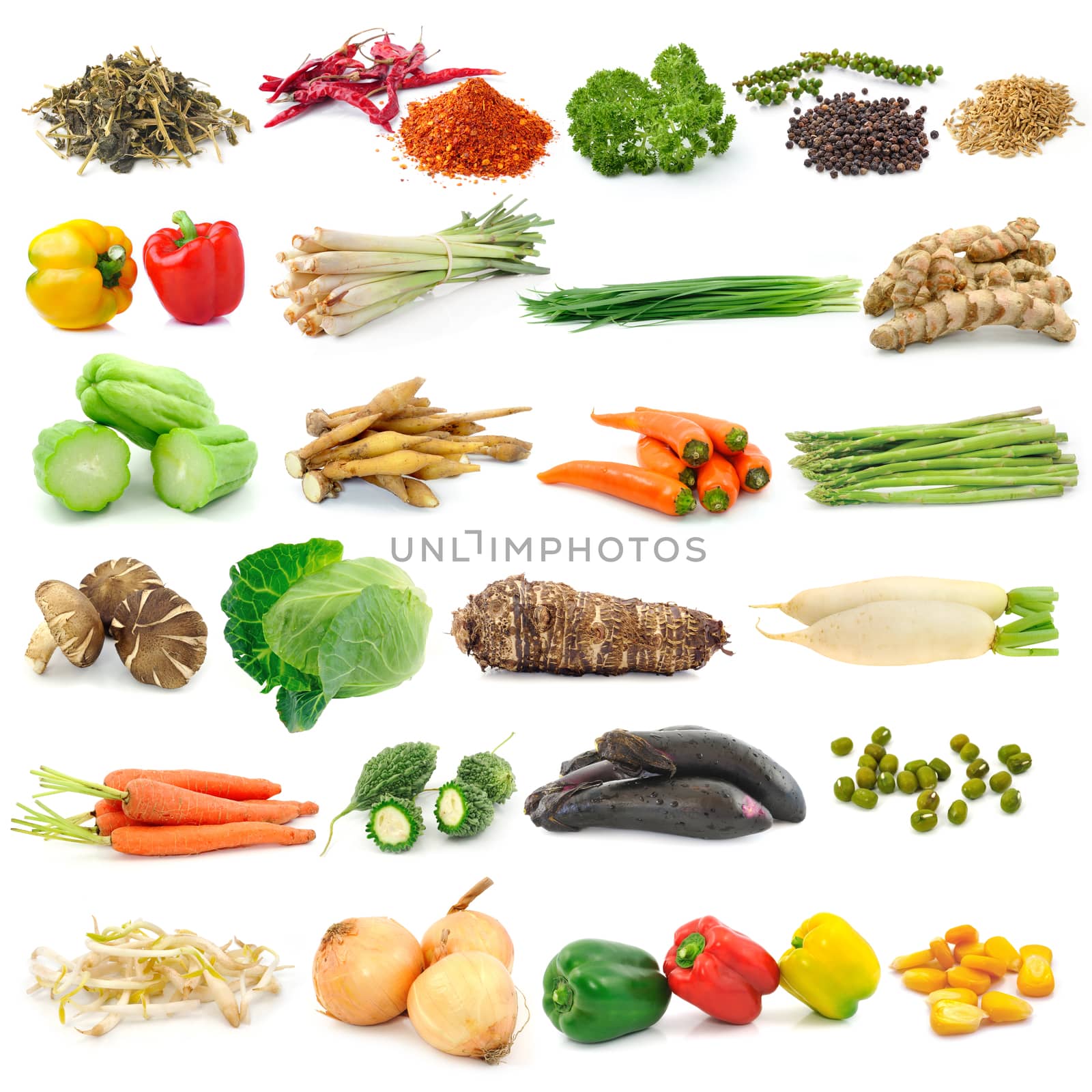 set of vegetable on white background by sommai