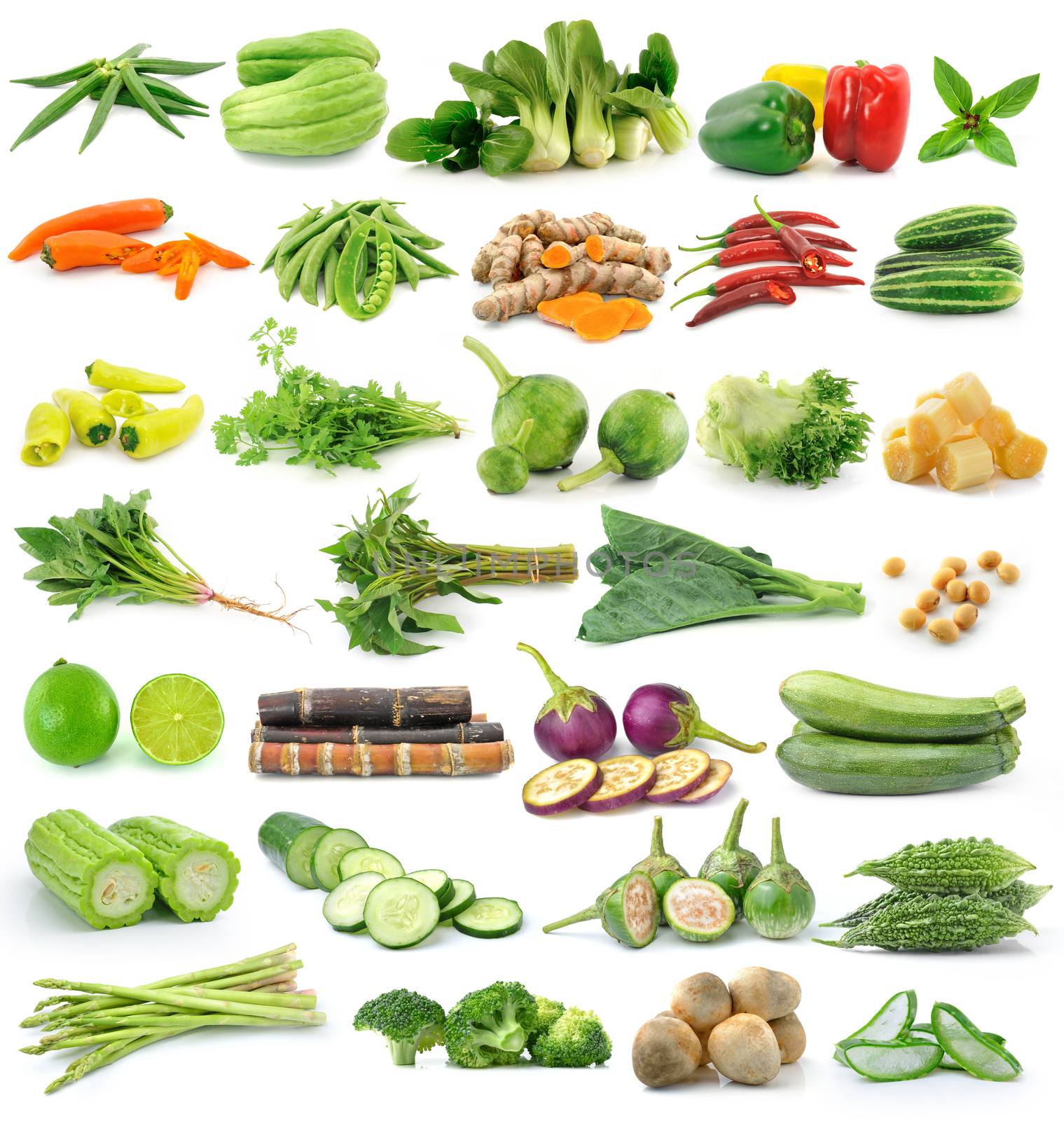 set of vegetable on white background by sommai