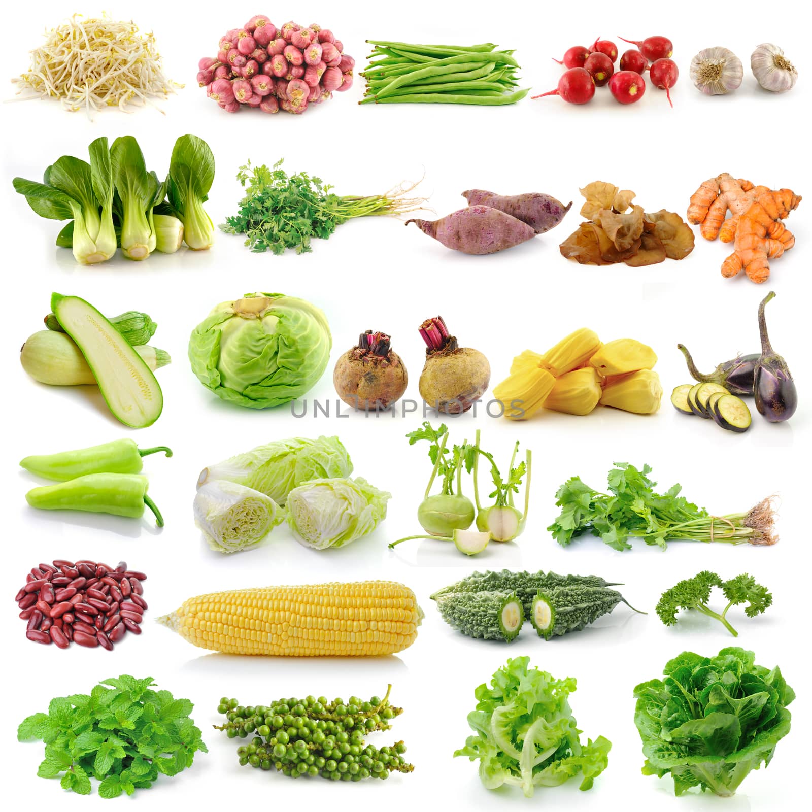 set of vegetable on white background  by sommai