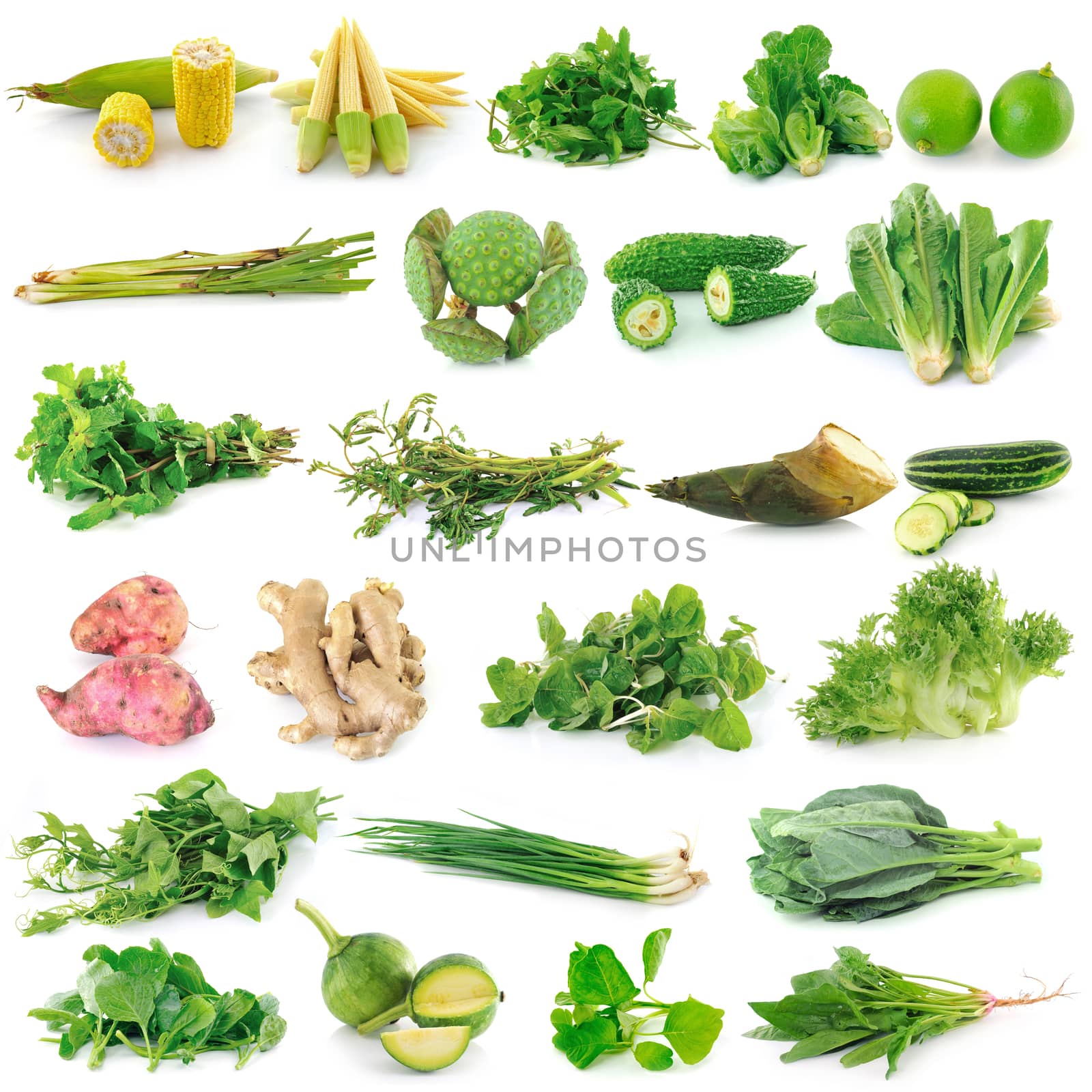 fresh vegetable on white background by sommai