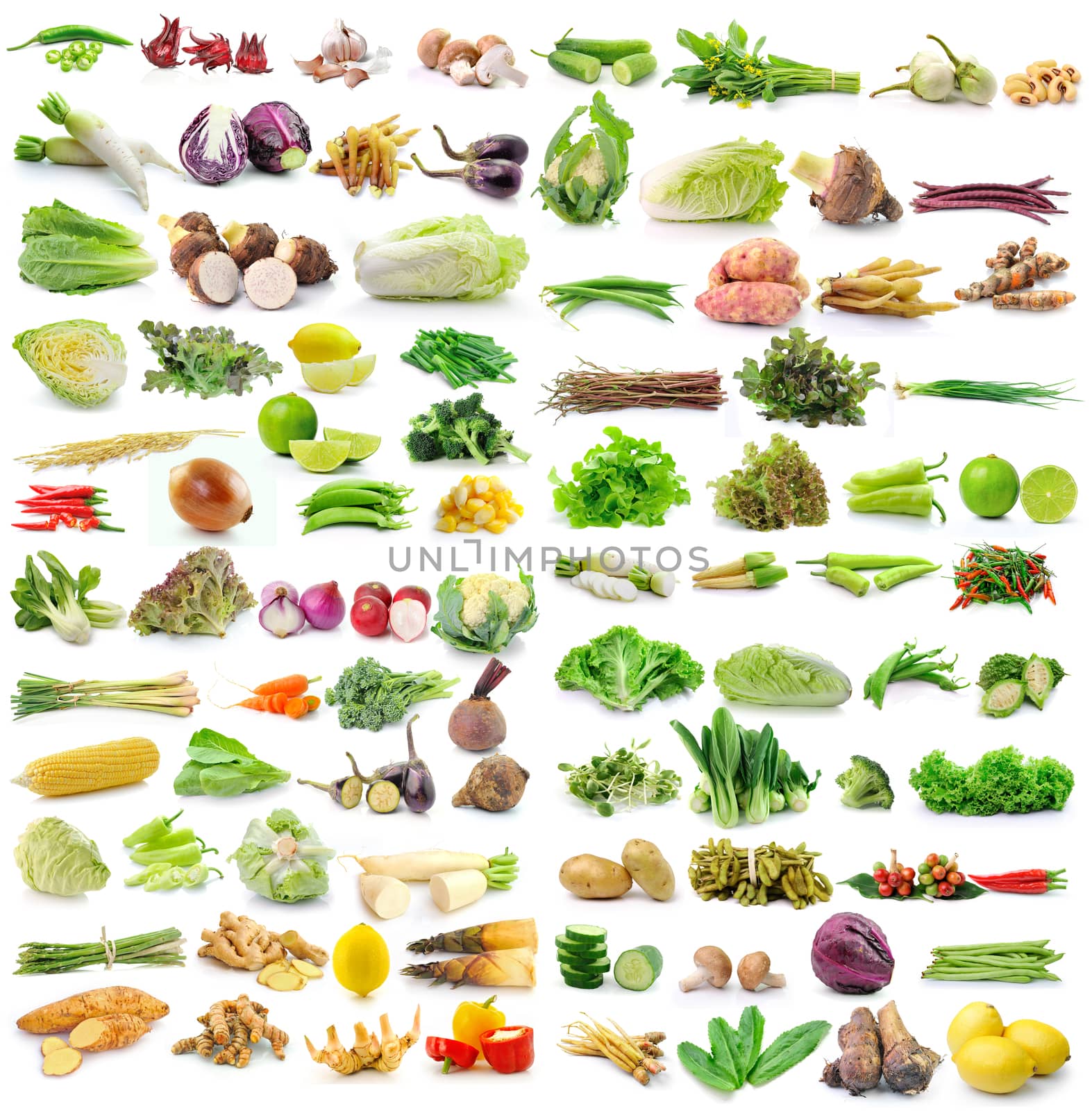 set of vegetable on white background by sommai