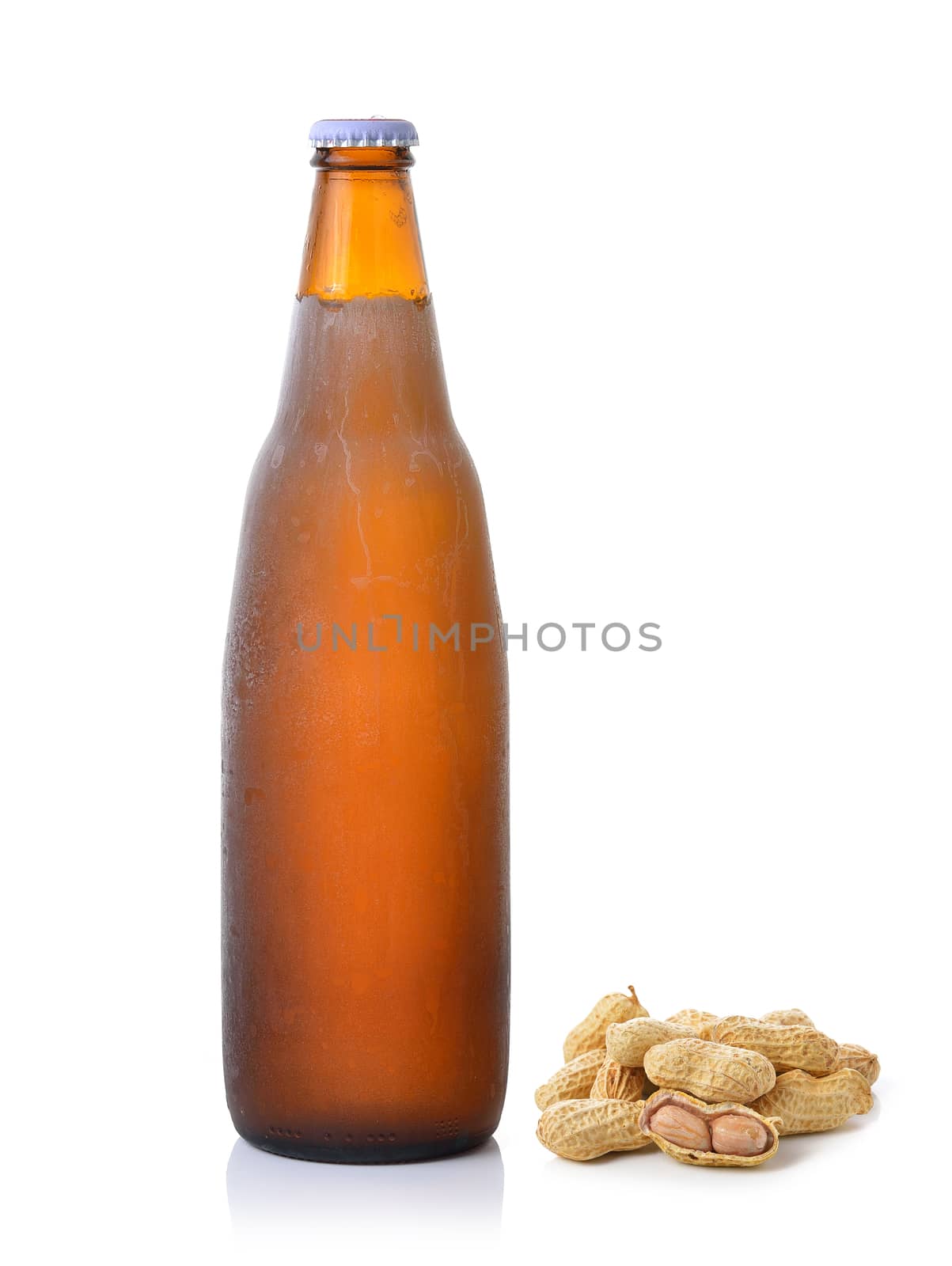 peanut and beer bottle on white background