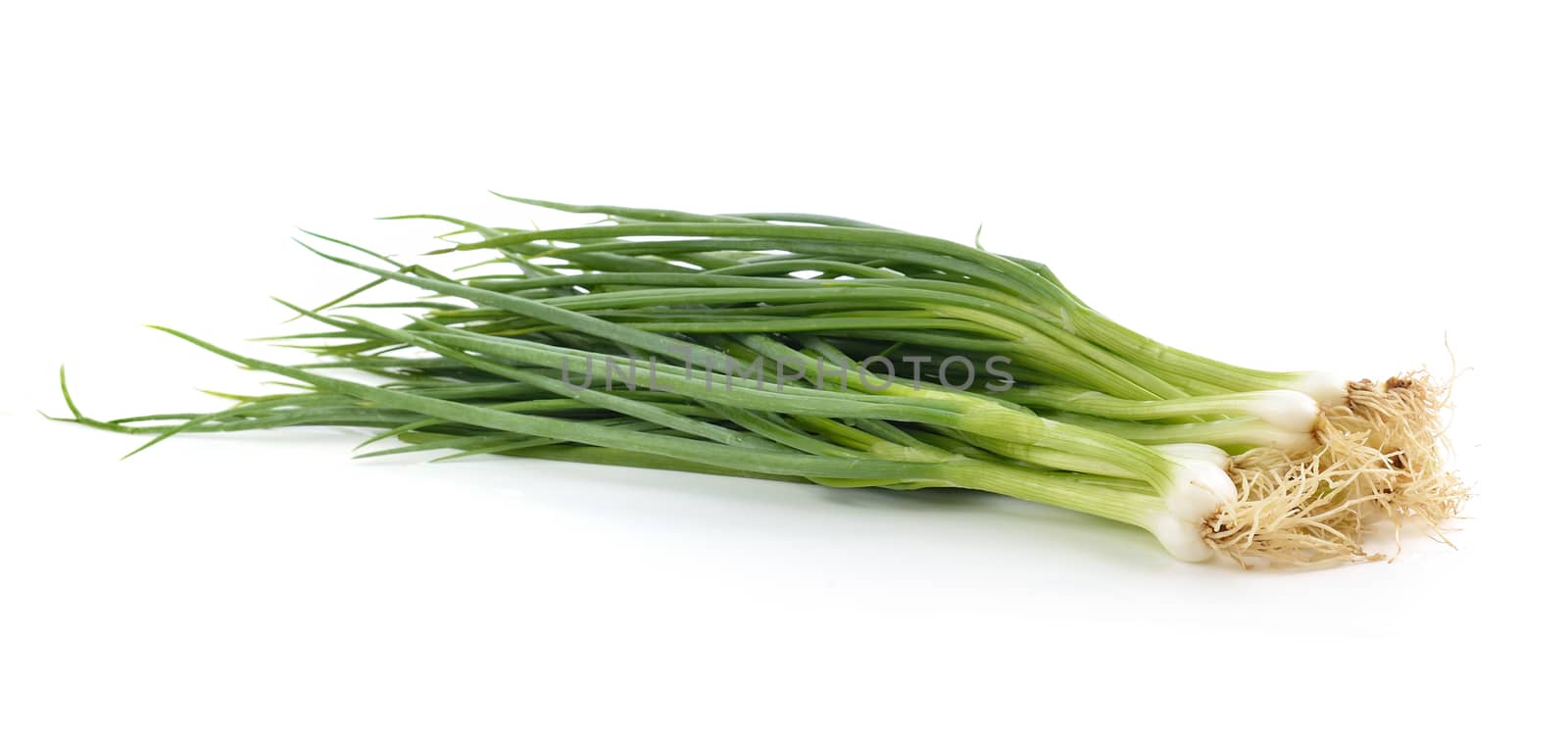 Green Onion on white background