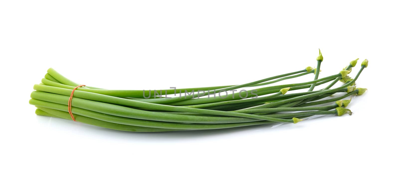 onion flowers isolated on white background