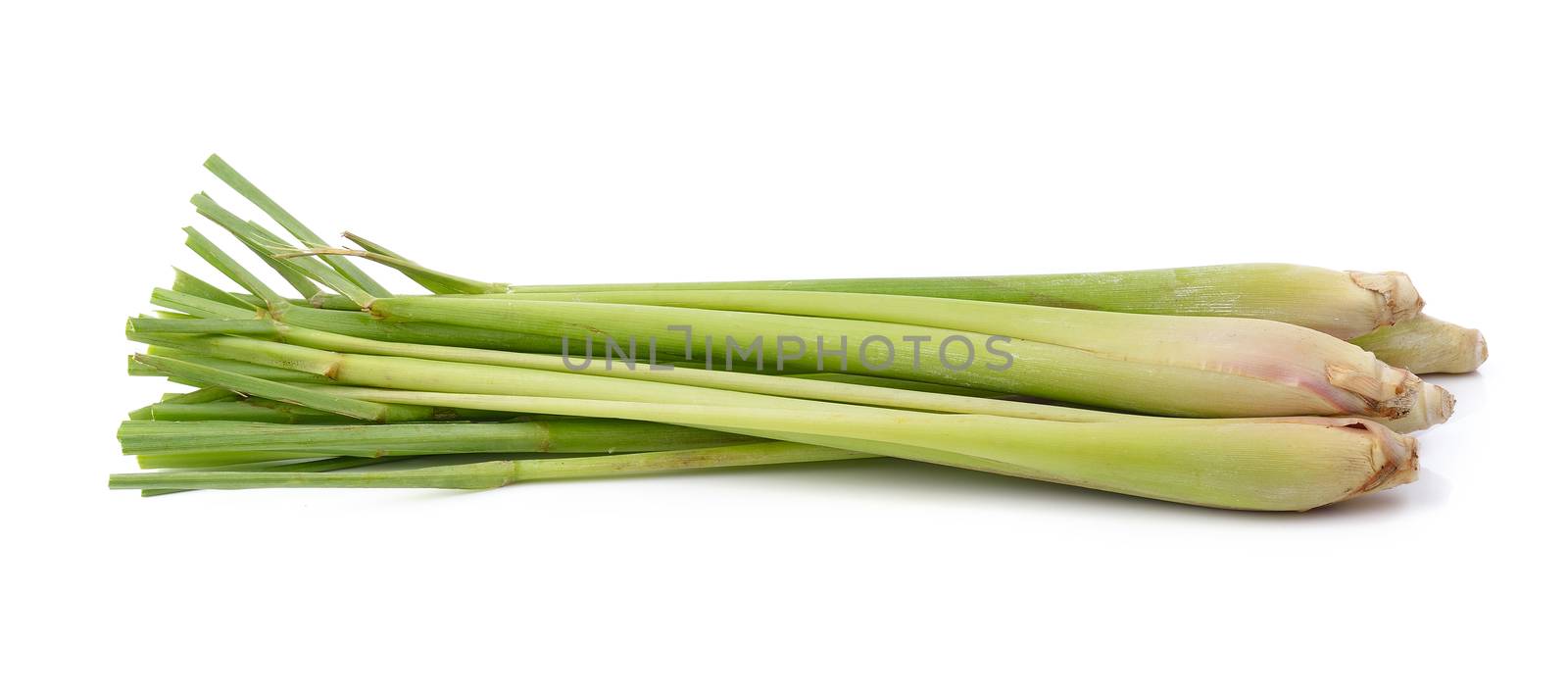 lemon grass on white background by sommai