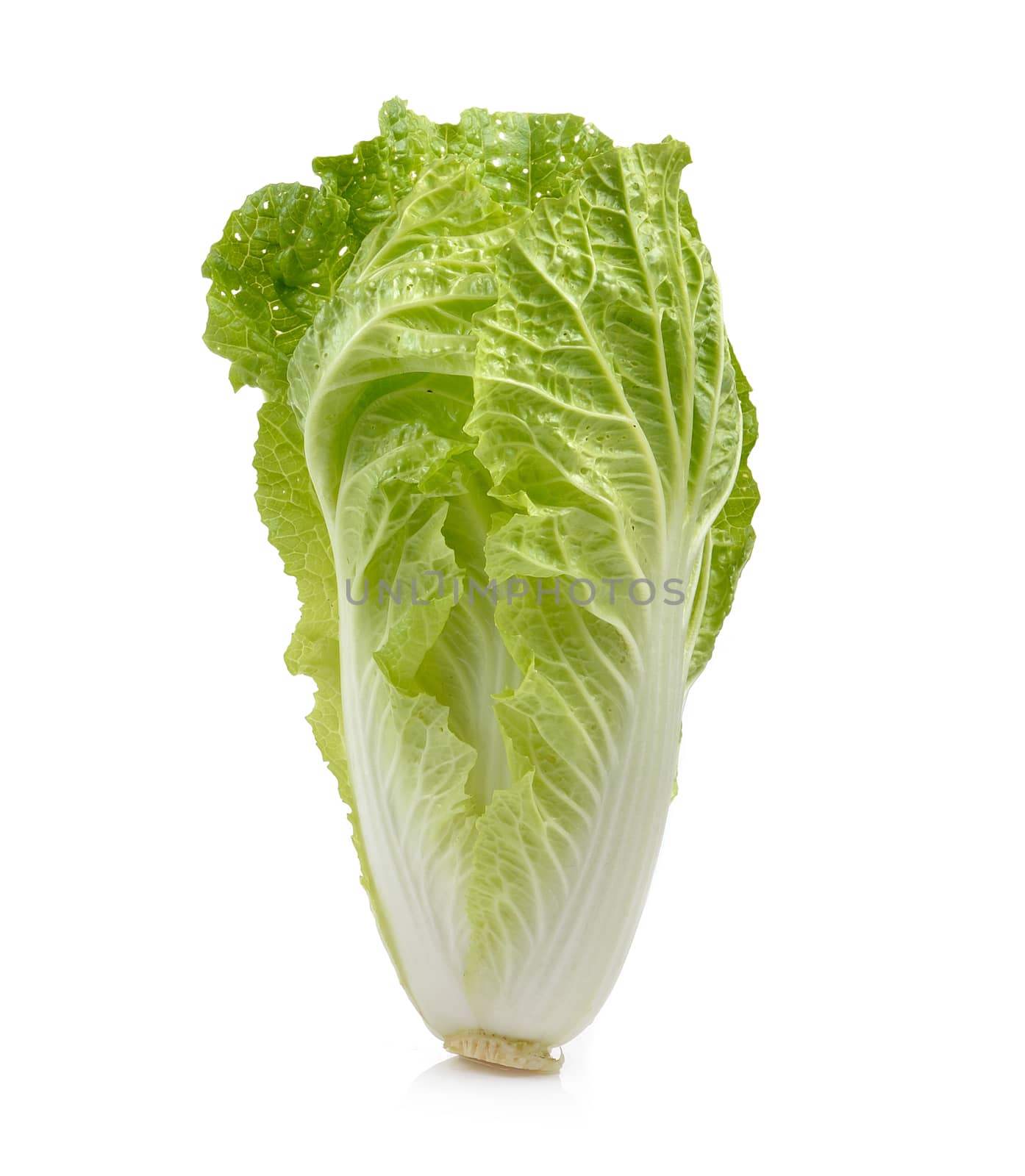 lettuce leaves isolated on white background