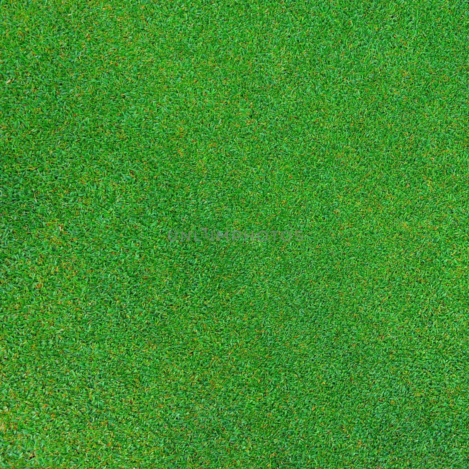 green grass texture for background by sommai