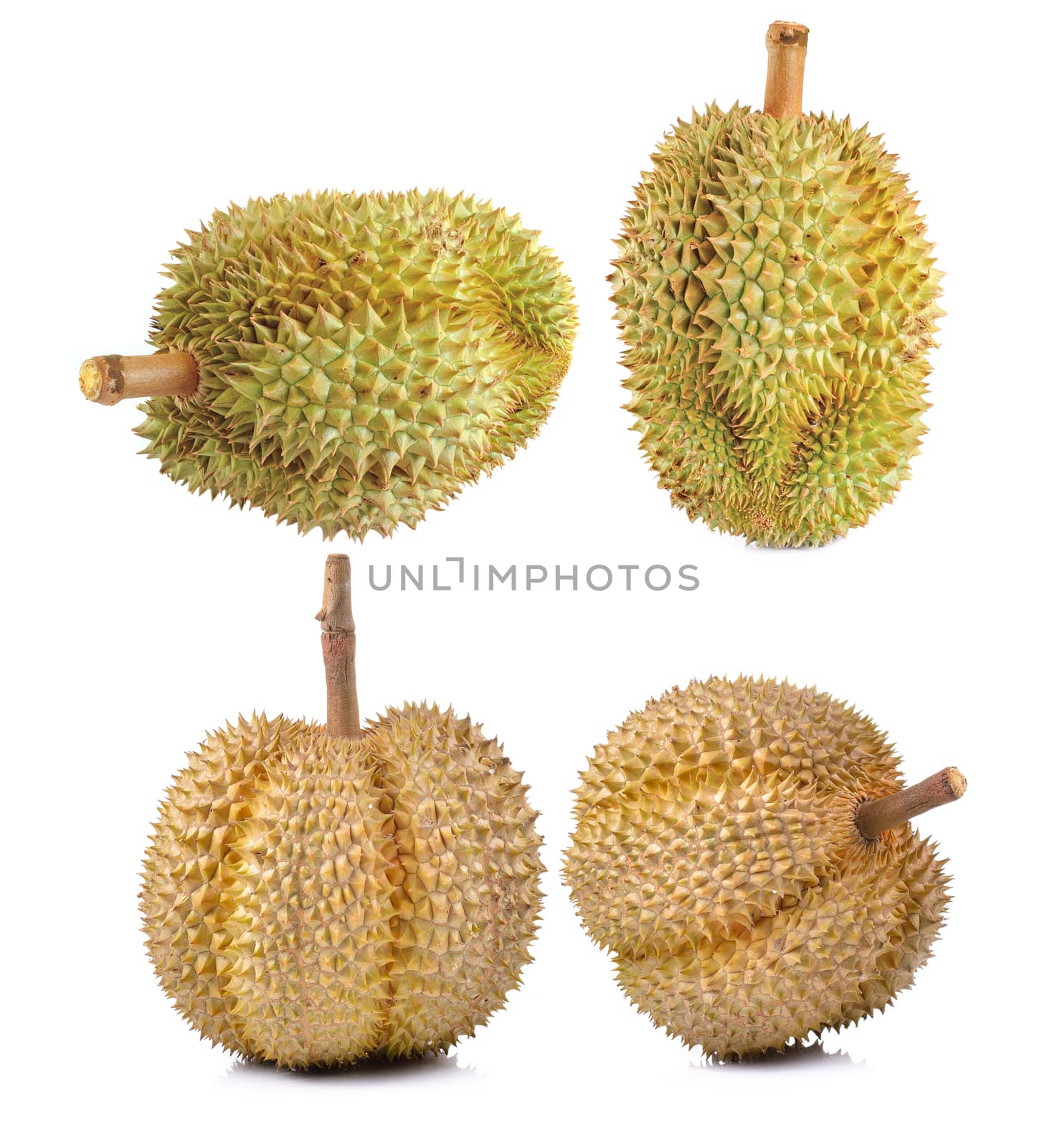 durian fruit isolated on a white background by sommai