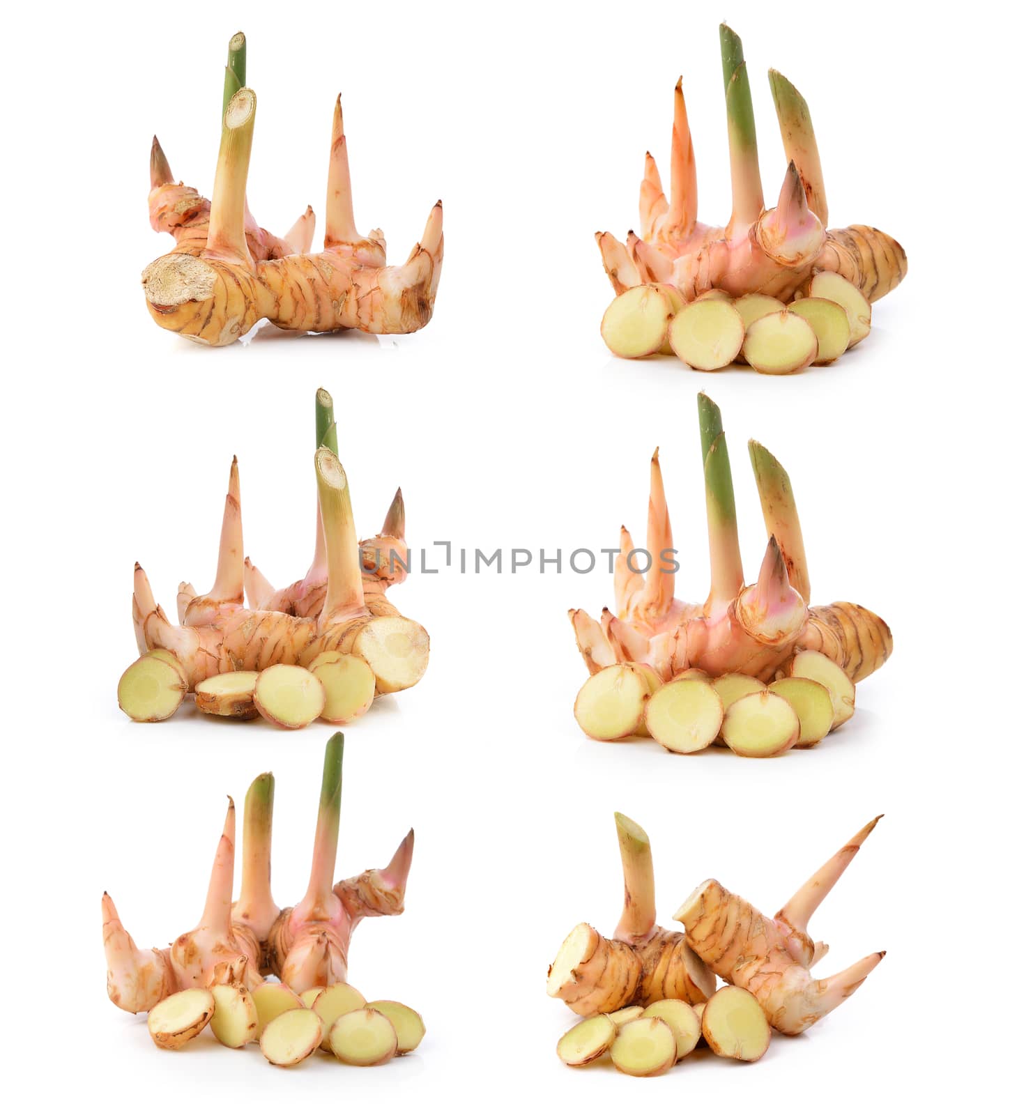 galangal on white background by sommai