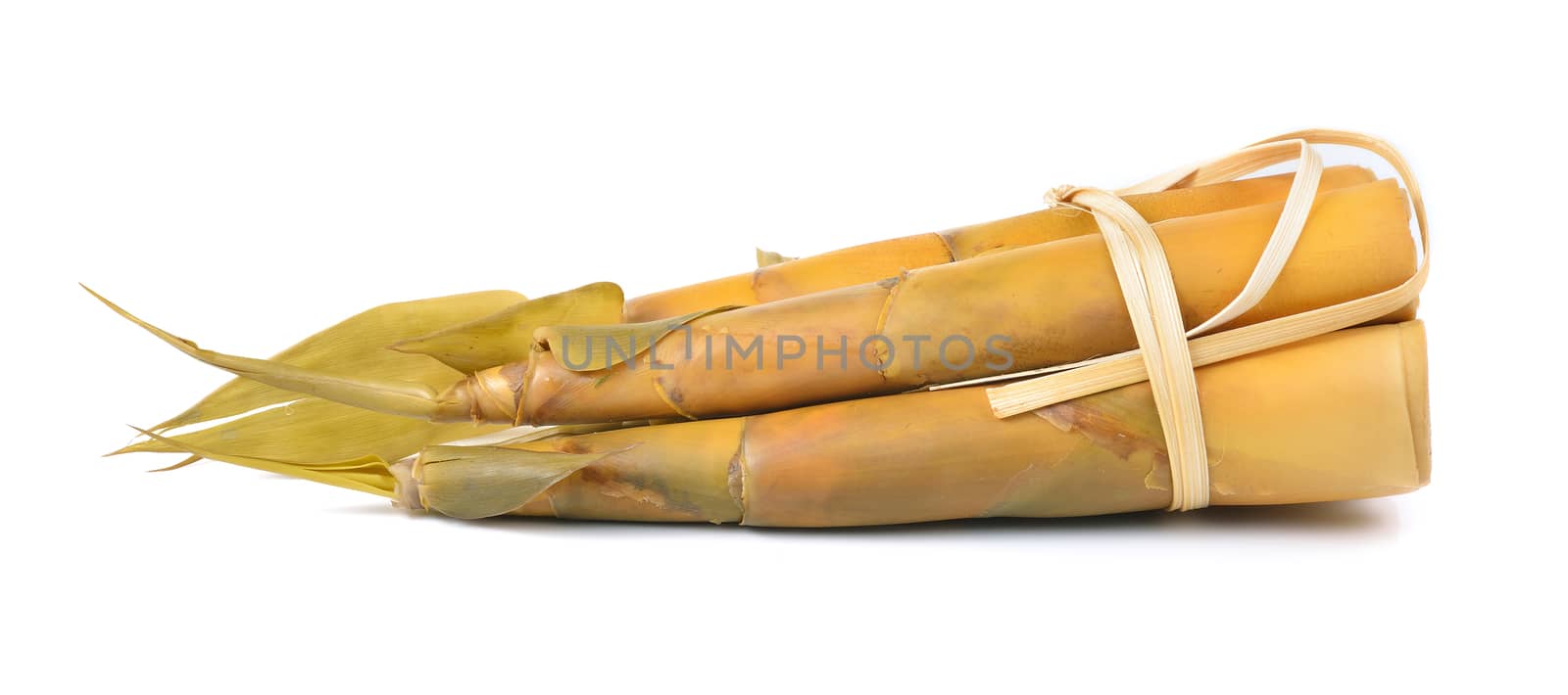 Bamboo shoot isolated on a white background