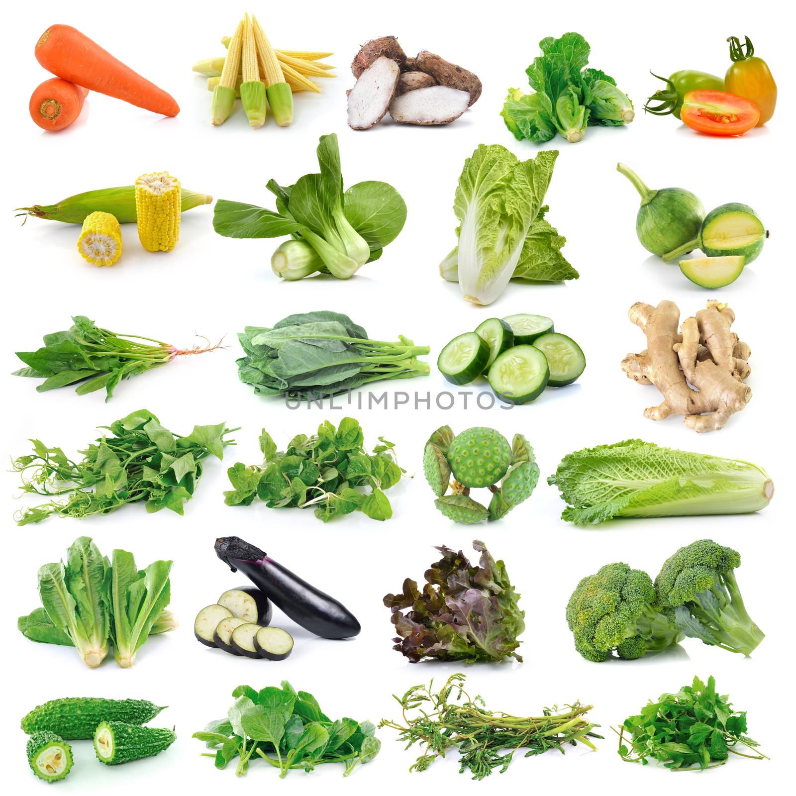 set of vegetable isolated on white background by sommai