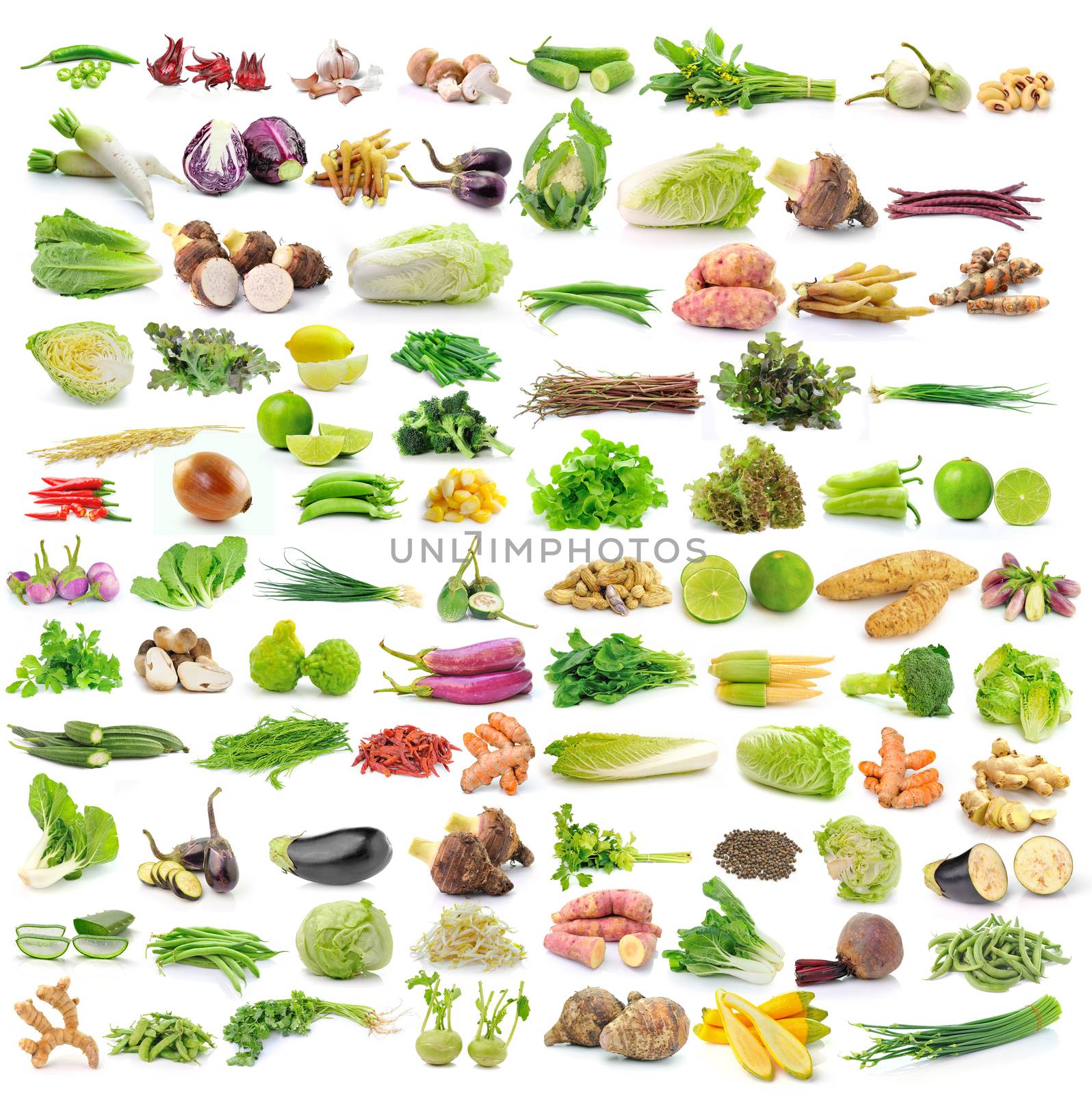 set of vegetable isolated on white background