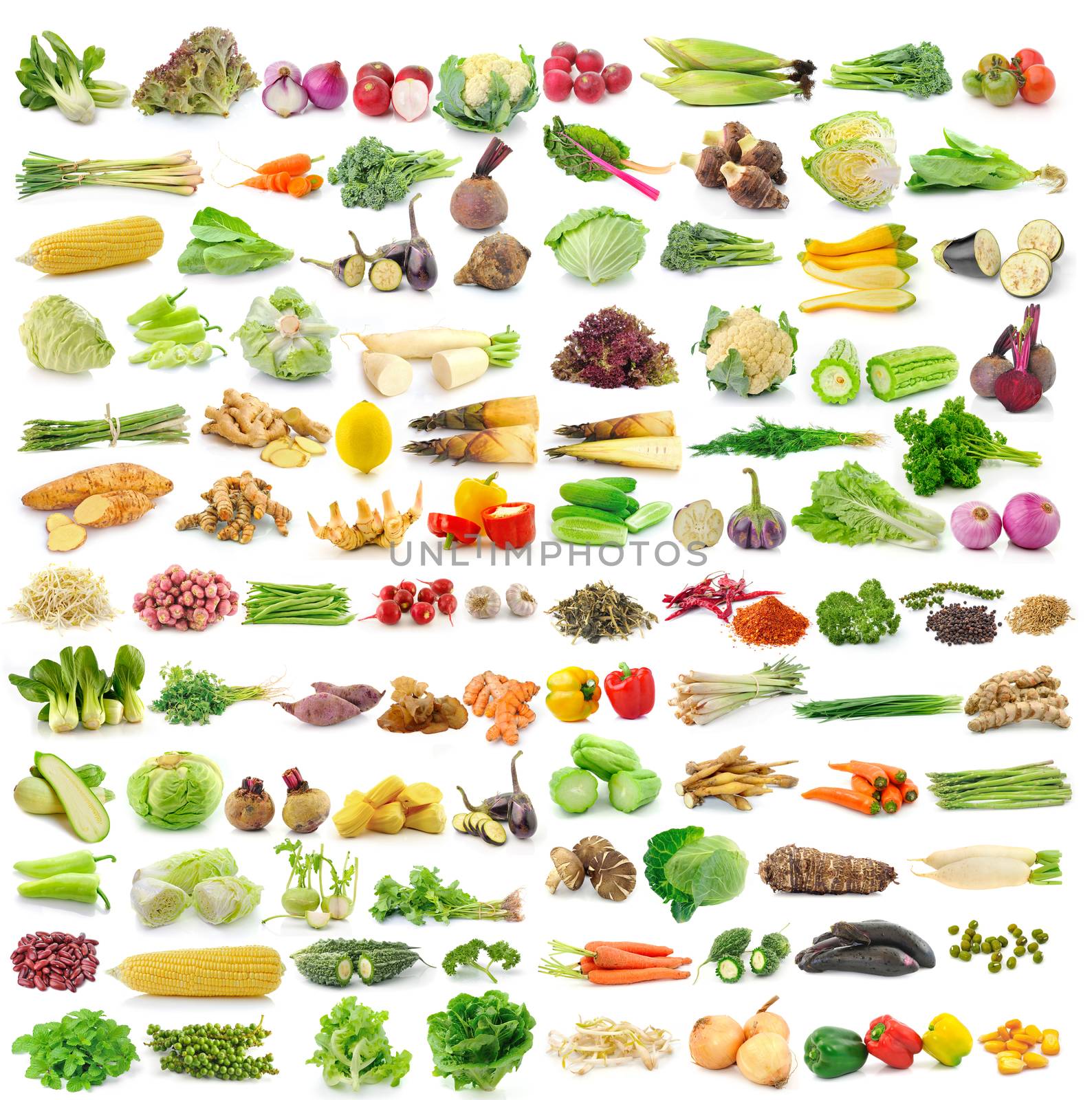 set of vegetable on white background by sommai