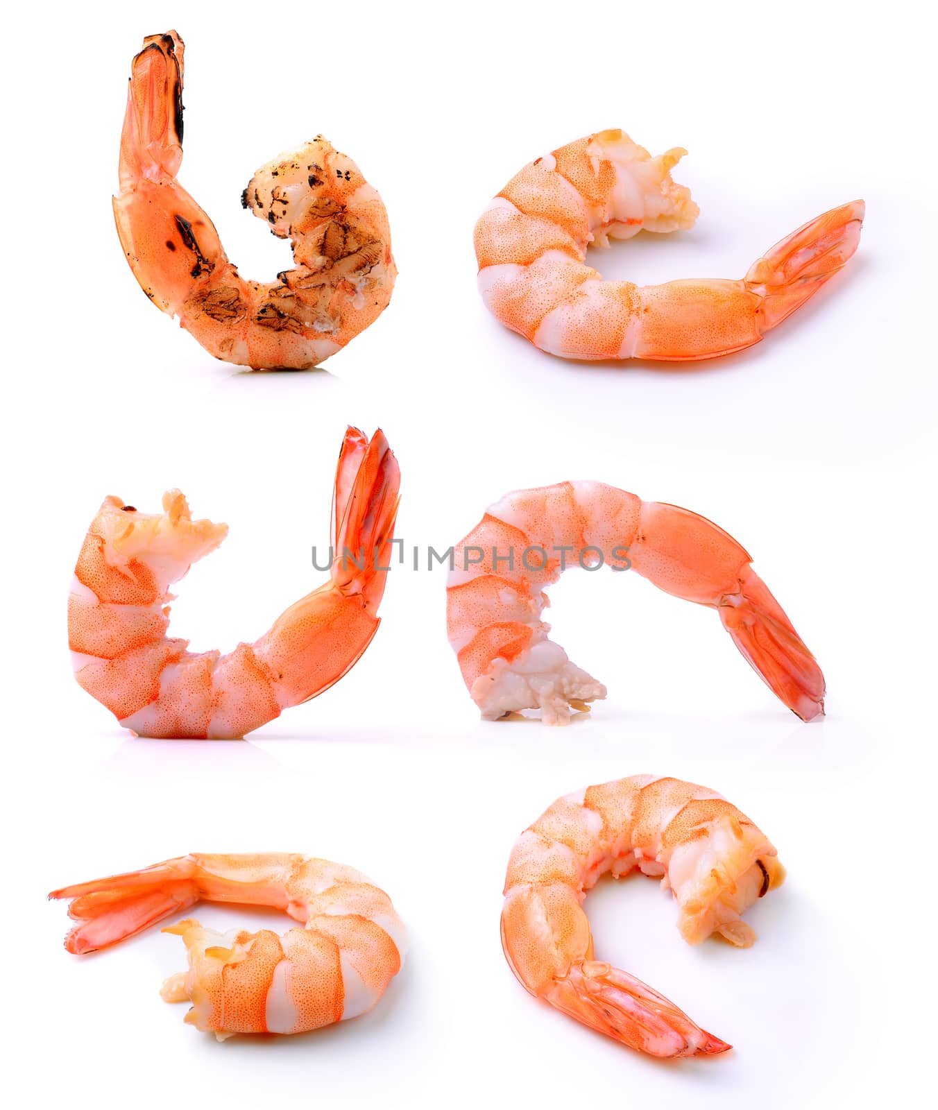 shrimps on a white background by sommai