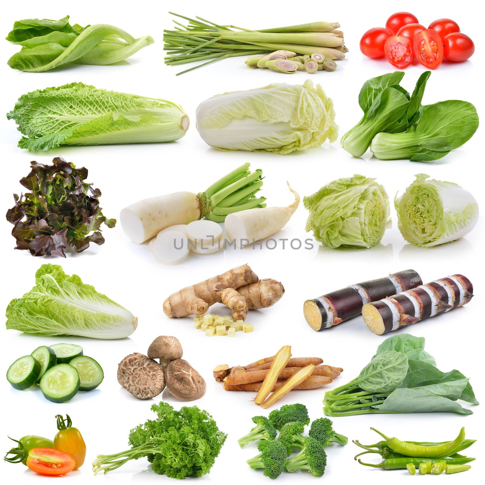 set of vegetable isolated on white background by sommai