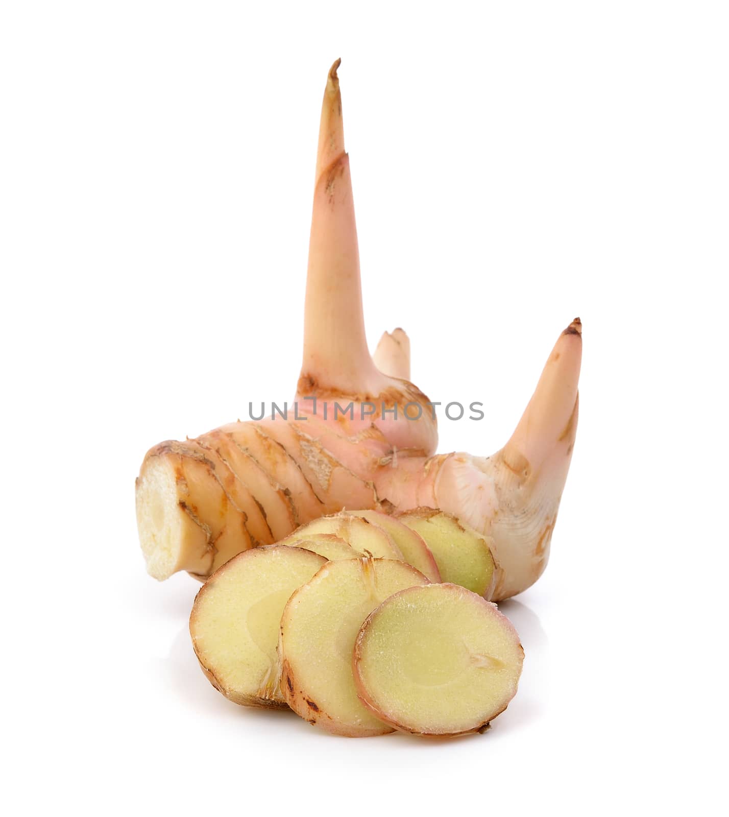 fresh galangal on a white background by sommai