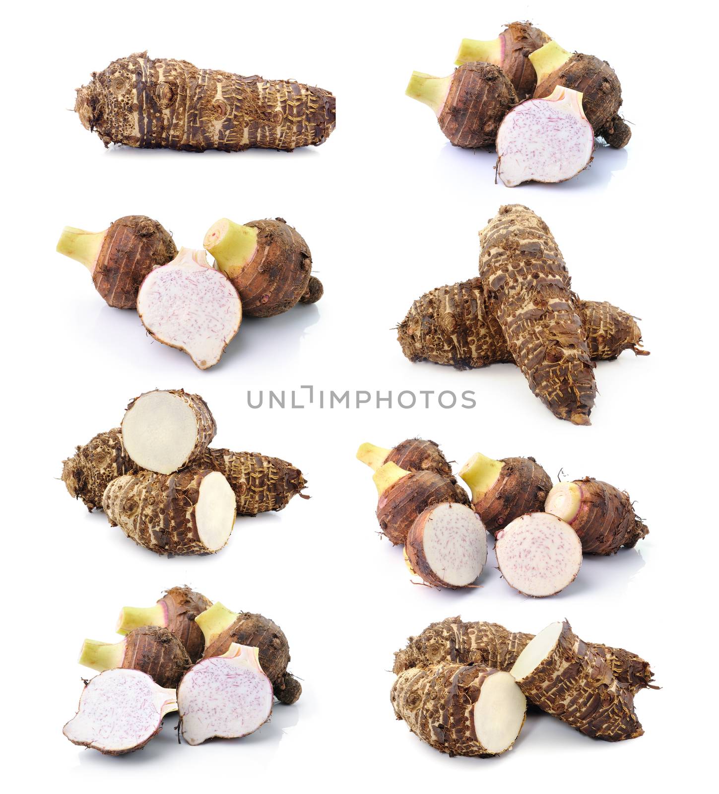 taro root on white background by sommai