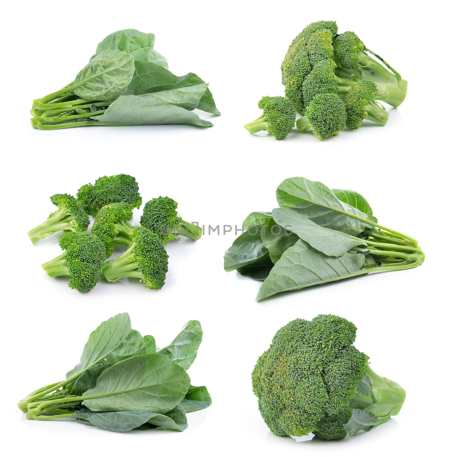 chinese broccoli and broccoli on white background