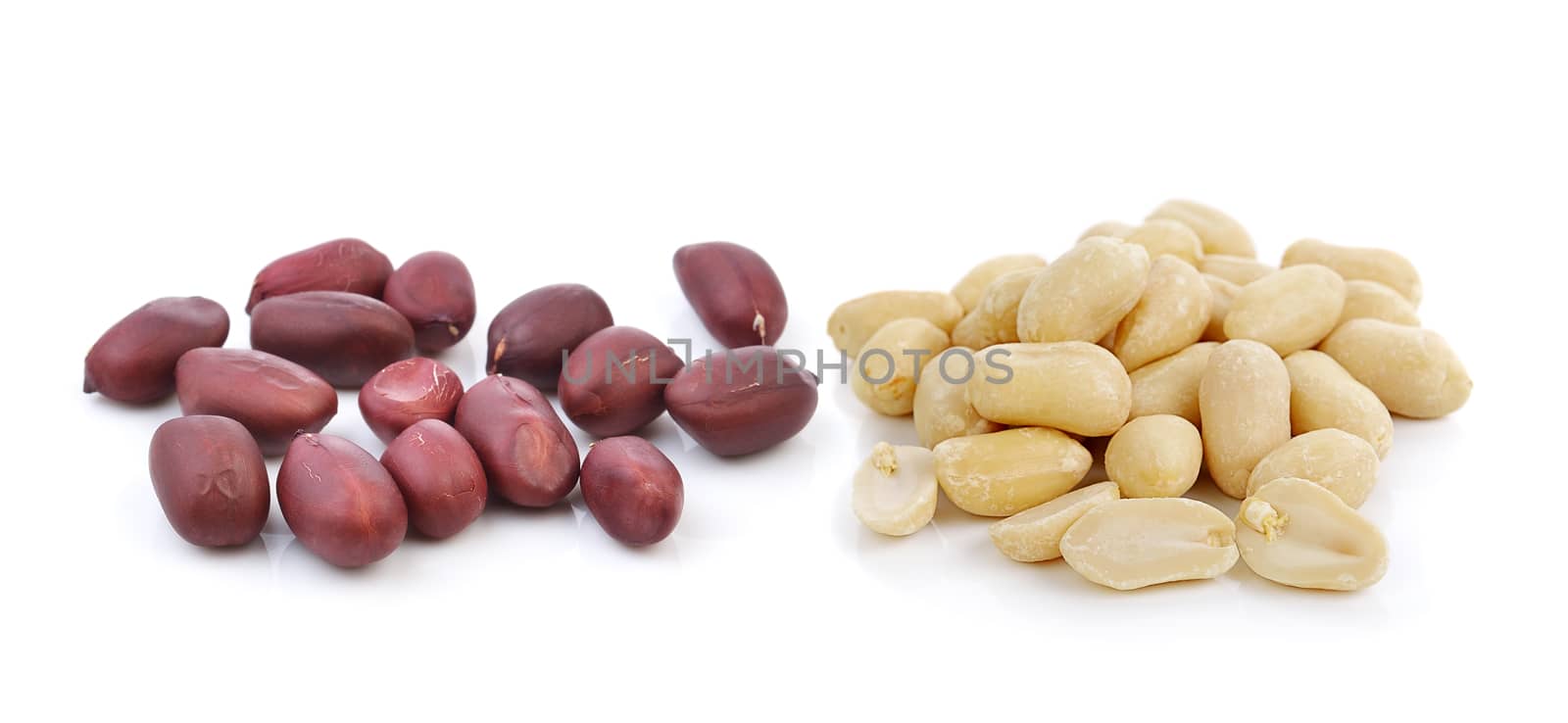 peanut on white background by sommai