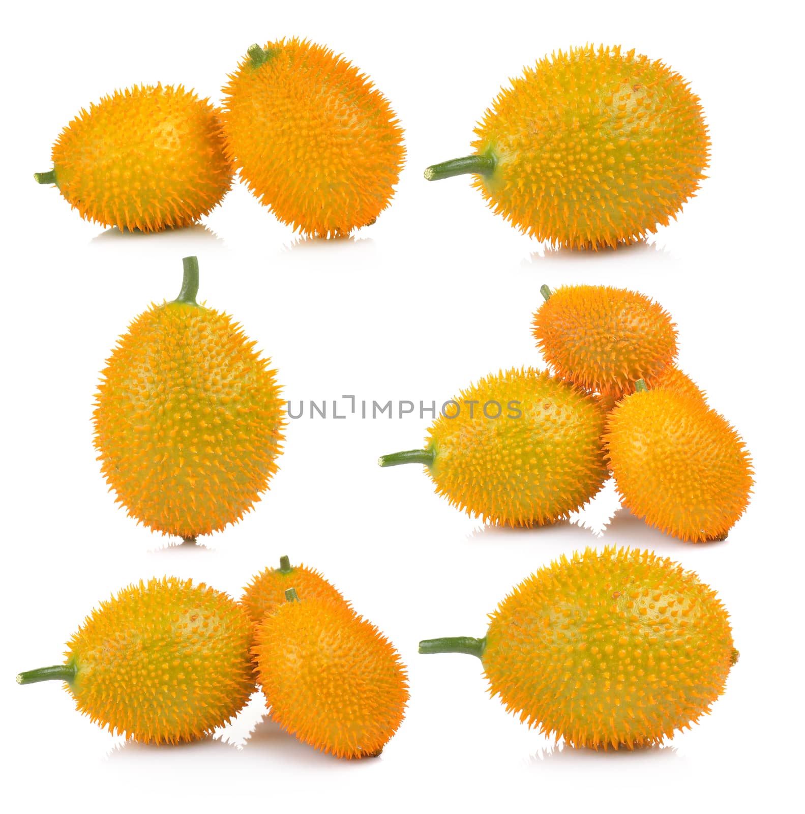 Baby Jackfruit, Spiny Bitter Gourd, Sweet Grourd or Cochinchin Gourd on white background