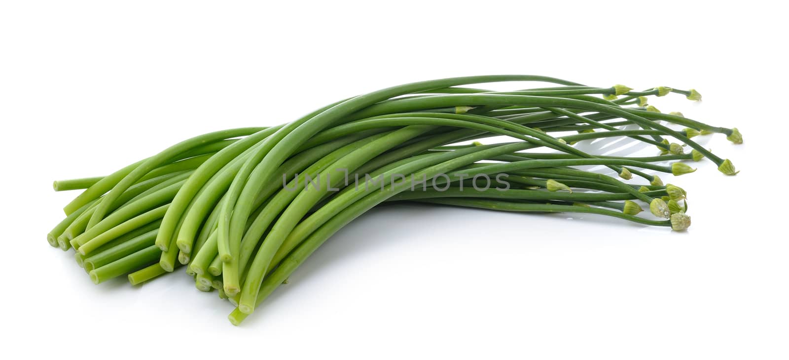 onion flowers isolated on white background