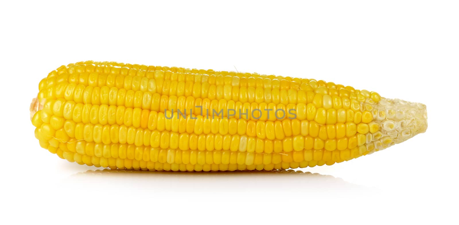 corn on white background by sommai