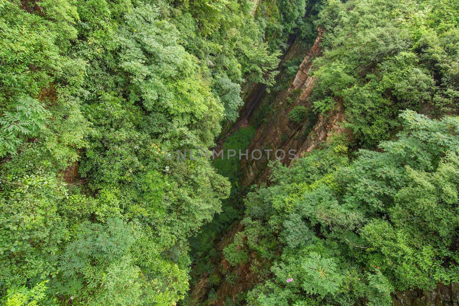 Zhangjiajie National forest park at Wulingyuan Hunan China.