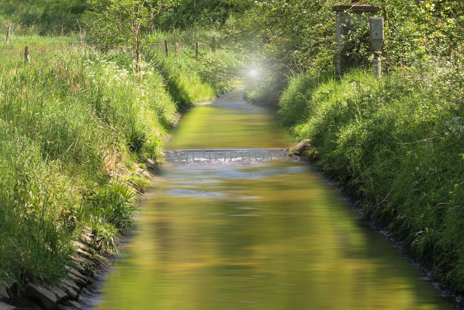 Clear water flows through a beautiful riverine landscape.
