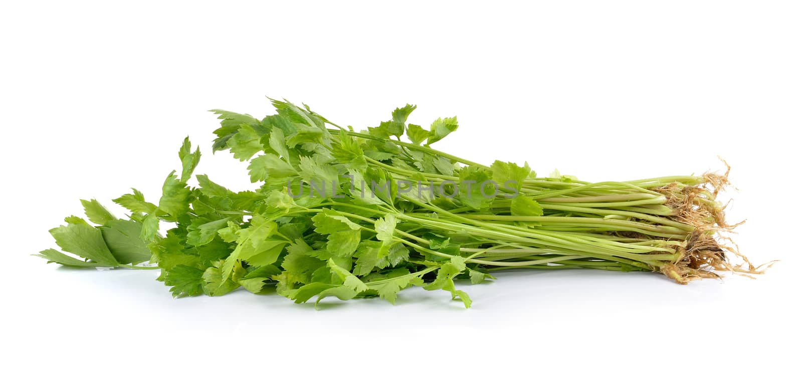 Fresh green celery isolated on white background by sommai