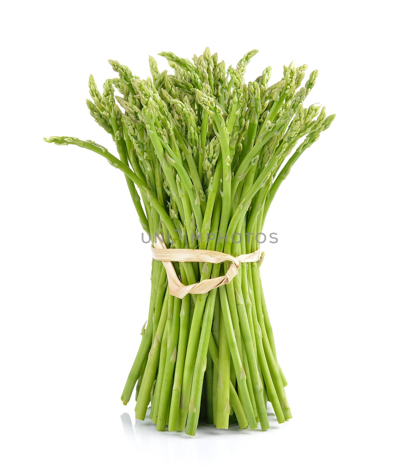 asparagus on white background by sommai