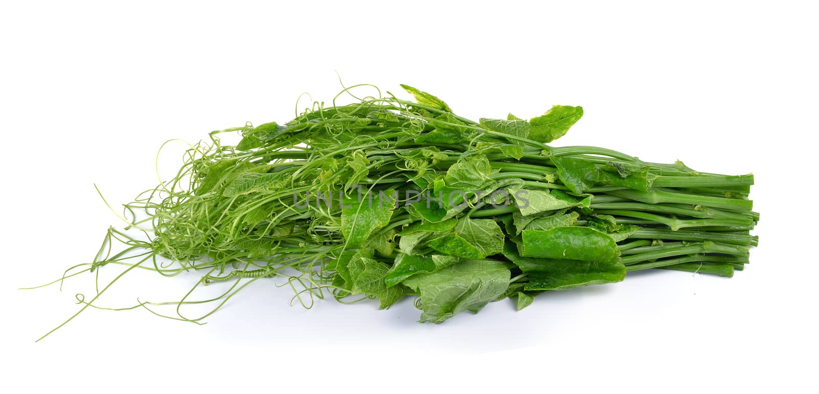 Bunch of fresh chayote on white background