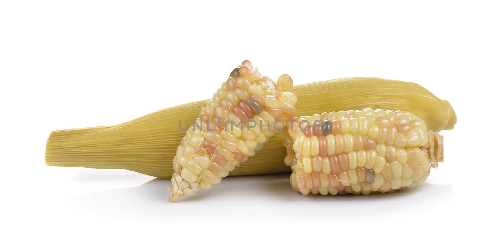 waxy corn on white background by sommai