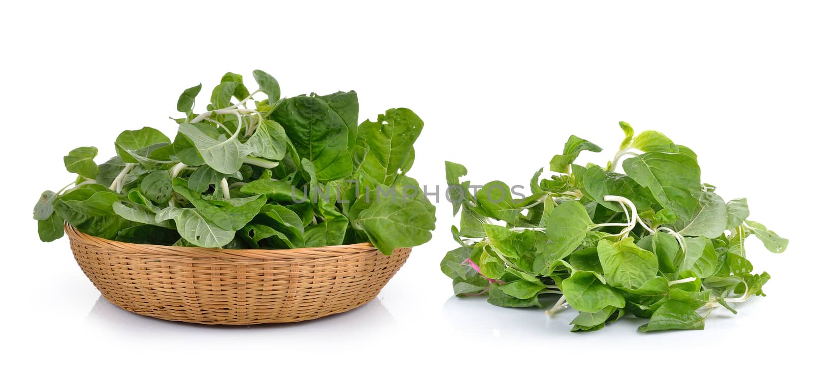 spinach on white background