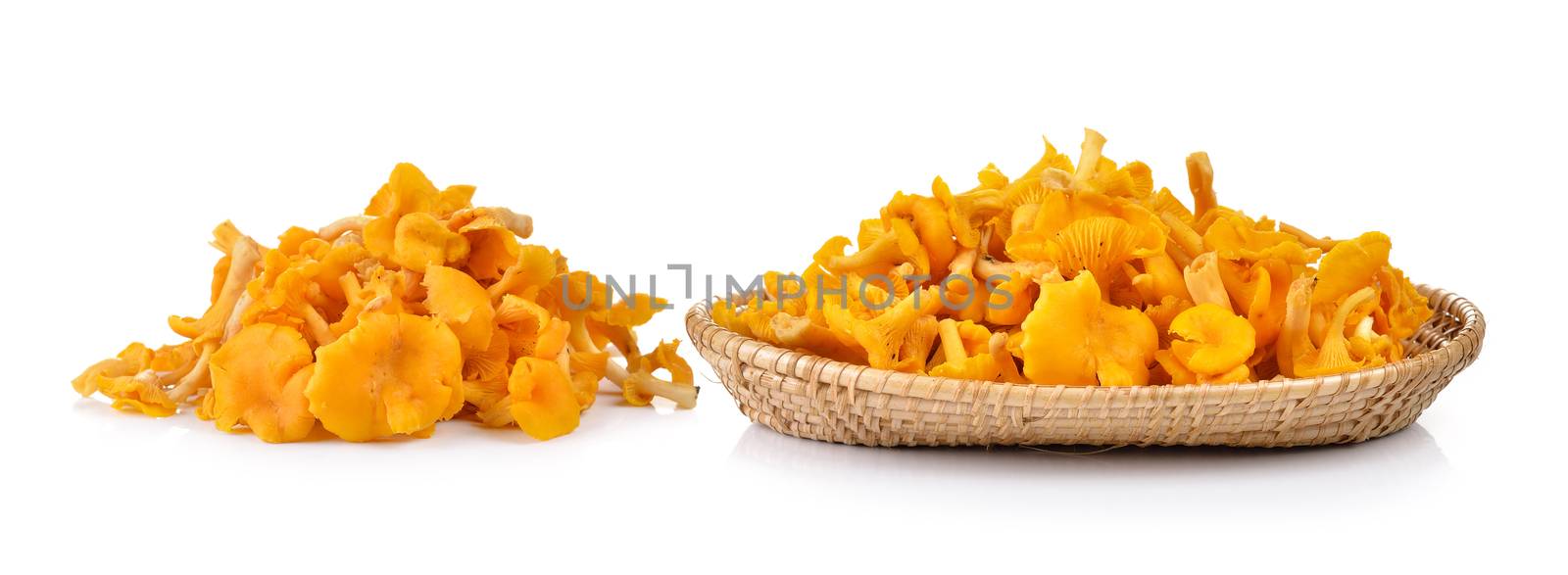 Wild  Mushroom in the basket isolated on white background