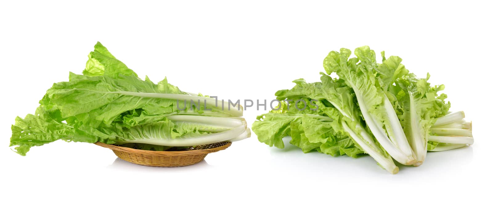 lettuce leaves isolated on white background by sommai