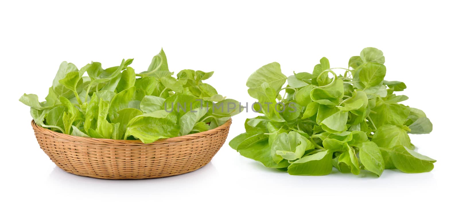 spinach on white background